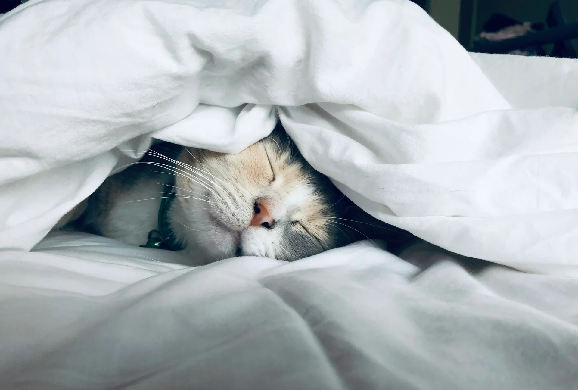 The Sleep-Mental Health Connection: Understanding This Critical Relationship